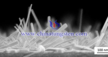 Nano Tungsten Trioxide SEM image of tungsten trioxide nanowire