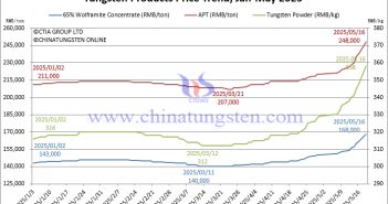 APT Surges Over 4% in a Single Day Tungsten Price Trend Chart from January to May 16, 2025