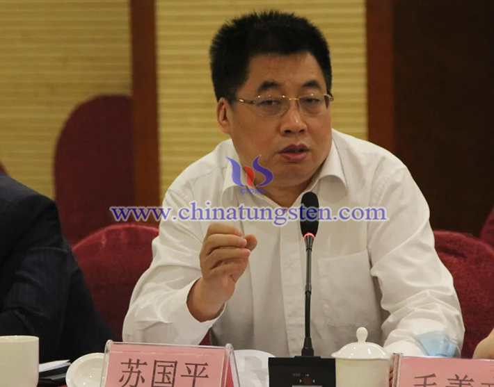 中國鎢業(yè)協(xié)會主席團主席、安泰天龍鎢鉬科技有限公司董事蘇國平
